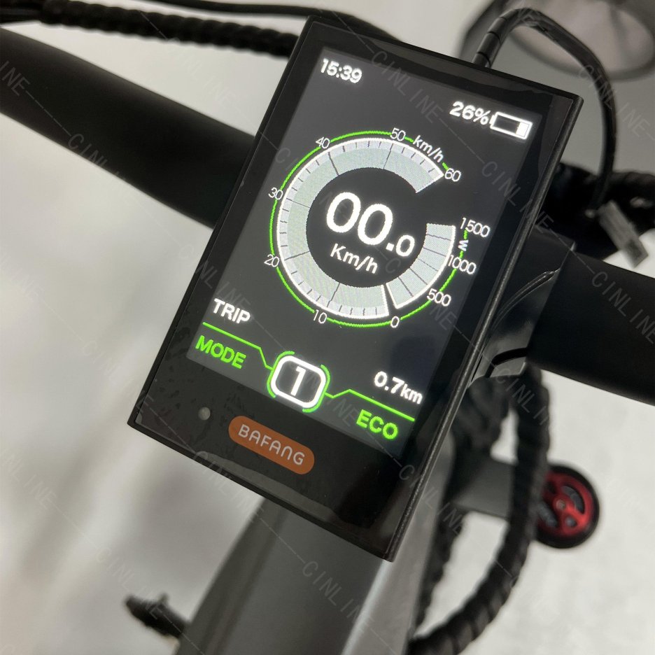 Fat tire Ebike long range easy rider central motor mountain electric bikes 48V 1000W