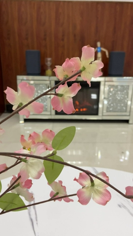 【Furniture】Mirrored Fireplace TV Stand, Mirrored Media Entertainment Center for TV up to 55 inch