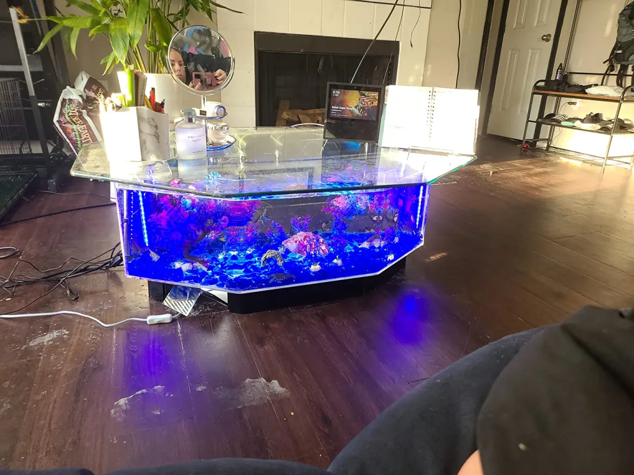 28 Gallon AquaTable Aquarium Octagon